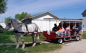 Draft horse and buggy ride