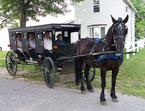 Horse and buggy ride